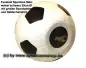 Preview: Großspardose Fußball weiß/ schwarz mit großen Spardosenschloss Maße ca.: D= 20 cm C Preview: Großspardose Fußball weiß/ schwarz mit großen Spardosenschloss Maße ca.: D= 20 cm C