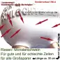 Preview: Monster Sparschwein Für gute und für schlechte Zeitent – Sonderverkauf 786-A dd