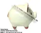Preview: Sparschwein mit Dekor klein Unidekor C