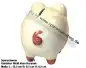 Preview: Sparschwein mit Dekor klein Unidekor D