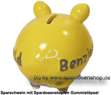 Preview: KCG Kleinsparschwein 3D Benzingeld D