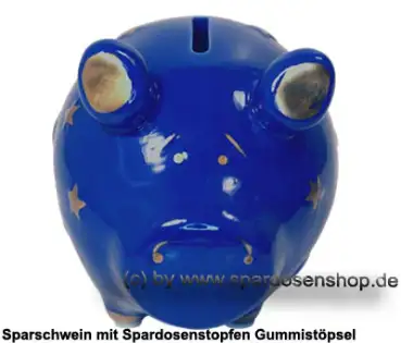 KCG Sparschwein Sternenschwein B