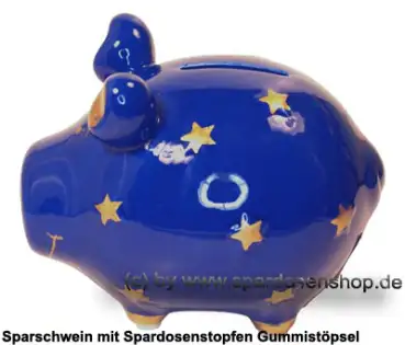KCG Sparschwein Sternenschwein C