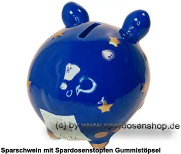 KCG Sparschwein Sternenschwein D