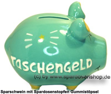 Preview: Sparschwein 3D Design Taschengeld türkis Keramik Marke KCG Maße ca.: L= 12,5 cm Preview: KCG Sparschwein Taschengeld türkis C