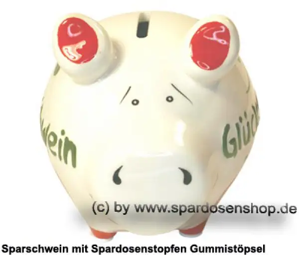 Sparschwein Kleinsparschwein 3D Design Glücksschwein Keramik B