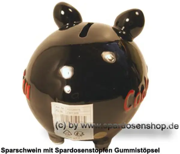 KCG Kleinsparschwein 3D Cool Sau D