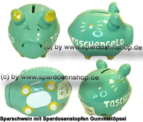 KCG Sparschwein Taschengeld türkis Gesamt KCG Sparschwein Taschengeld türkis Gesamt
