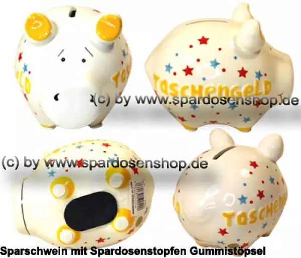 Sparschwein Kleinsparschwein 3D Design Taschengeld Keramik Gesamt