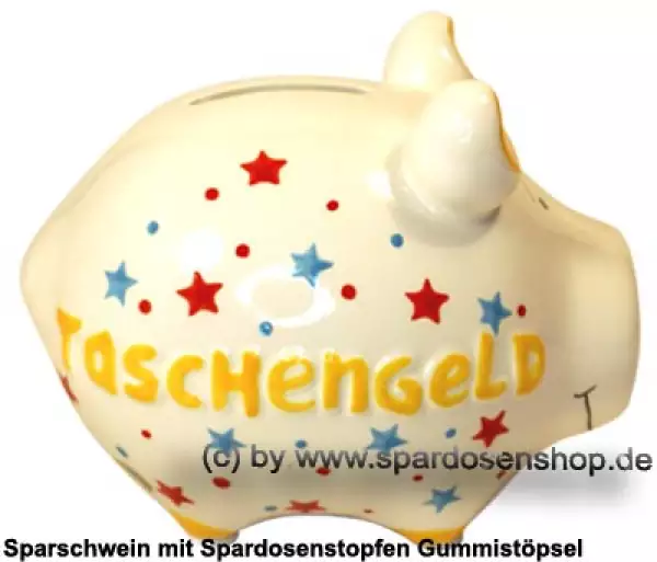 Sparschwein Kleinsparschwein 3D Design Taschengeld C