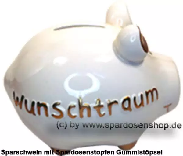 Sparschwein Kleinsparschwein 3D Design Wunschtraum Keramik C