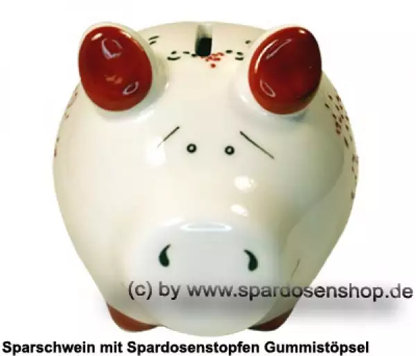Sparschwein Kleinsparschwein 3D Design Home Sweet Home Keramik B