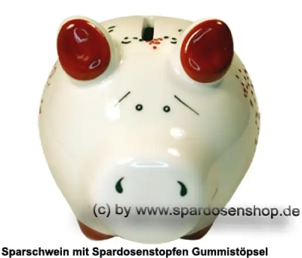 Sparschwein Kleinsparschwein 3D Design Home Sweet Home Keramik B