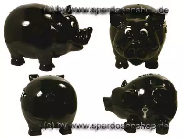 Sparschwein Schwarzgeld ca lustiges Sparschwein 12,5x9 cm handgefertigt 
