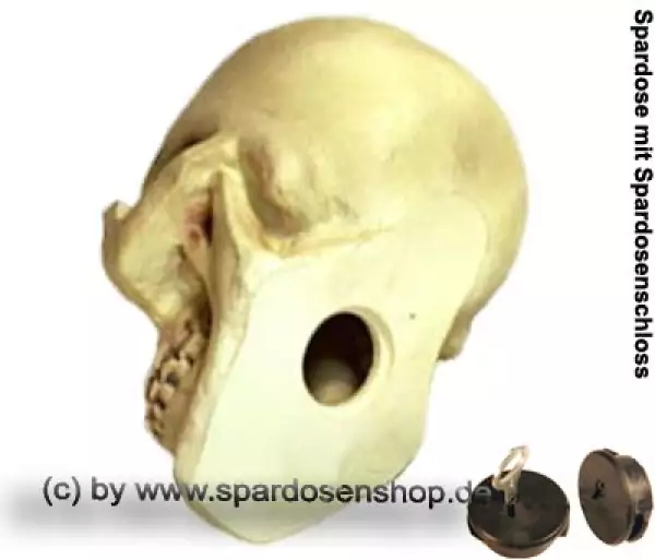 Spardose Totenkopf Schädel Skull aus Kunststoff C