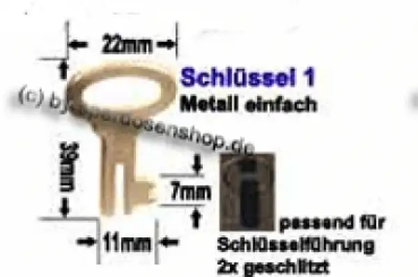 5x Stück Spardosenschluessel 1