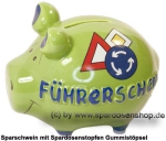 KCG Kleinsparschwein 3D Führerschein A