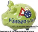 KCG Kleinsparschwein 3D Führerschein A